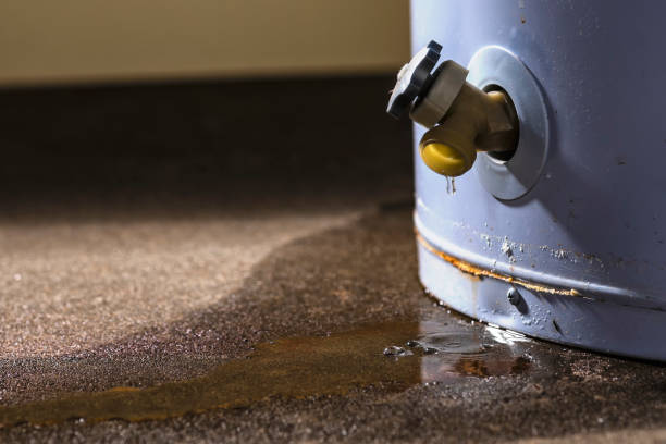  Lake Como, NJ Water damage restoration Pros