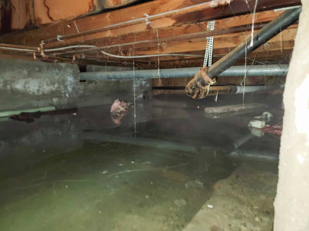 Best Carpet water damage restoration  in Lake Como, NJ