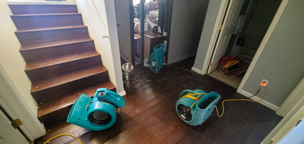 Best 24/7 water damage repair  in Lake Como, NJ