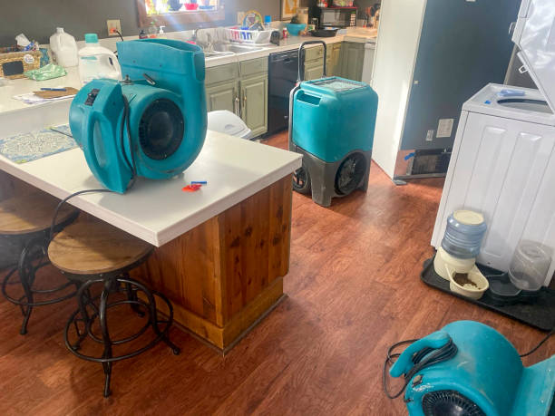 Best Basement water damage restoration  in Lake Como, NJ