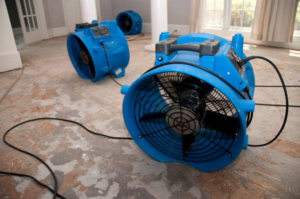 Best Water damage restoration experts  in Lake Como, NJ