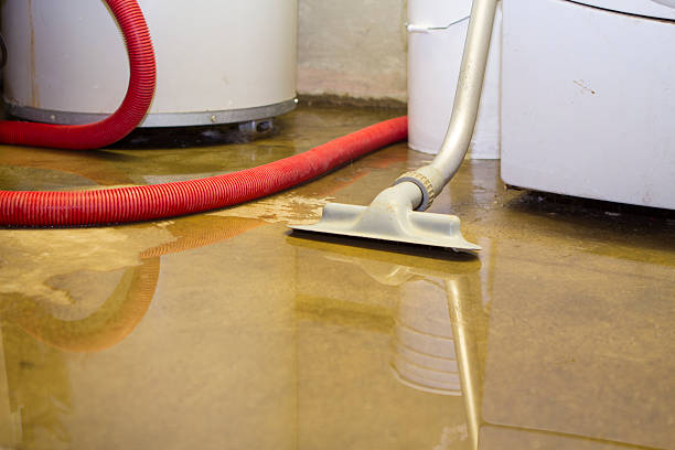 Carpet water damage restoration in NJ
