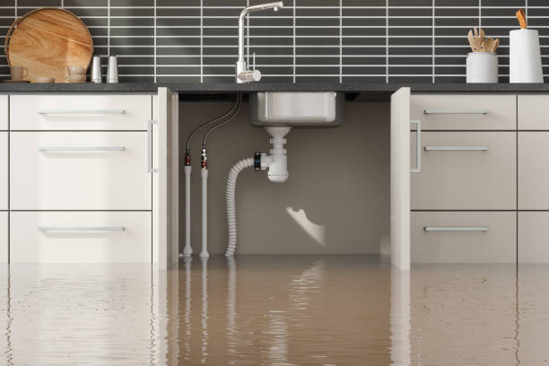 Best Water damage cleanup near me  in Lake Como, NJ
